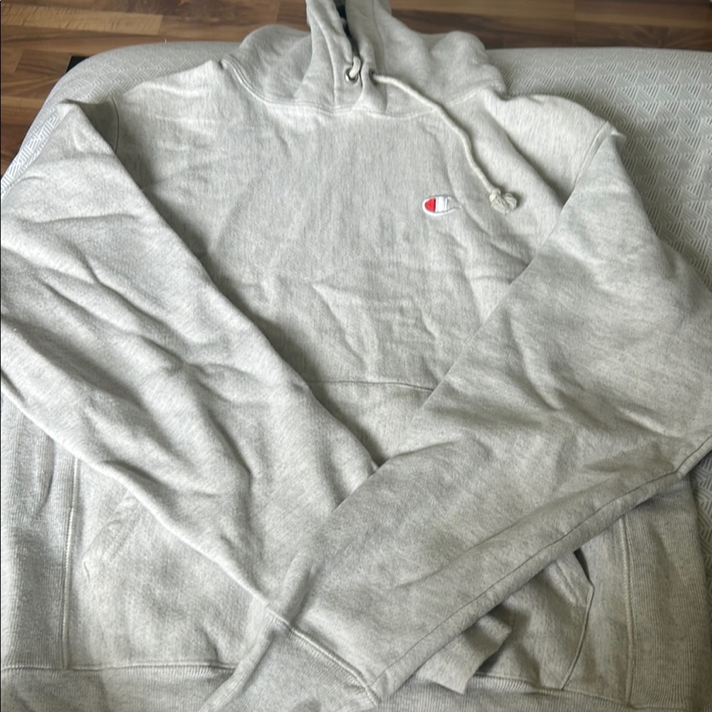 Champion Gray Hoodie
